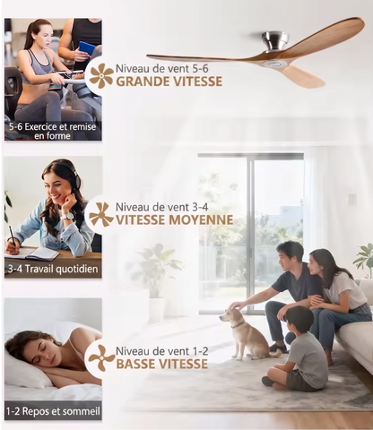 Ventilateur Plafond Bois Massif LED 24W — Moteur DC 35W Silencieux — Noir & Bois Foncé