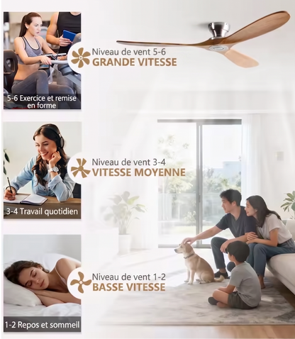 Ventilateur Plafond Vintage Industriel Sans LED — Moteur DC 35W — Total Blanc