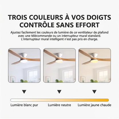Ventilateur Plafond Bois Massif LED 24W — Moteur DC 35W Silencieux — Noir & Bois Foncé
