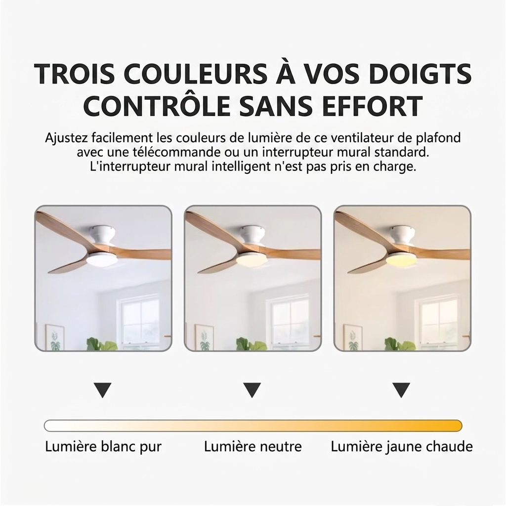 Ventilateur Plafond Vintage Industriel Sans LED — Moteur DC 35W — Noir & Bois Foncé
