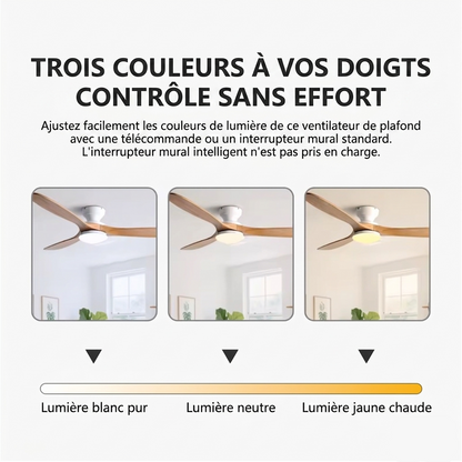 Ventilateur Plafond Vintage Industriel Sans LED — Moteur DC 35W — Noir & Bois Foncé