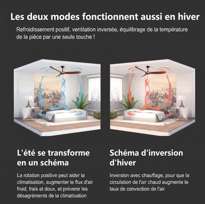 Ventilateur Plafond Bois Massif LED 24W — Moteur DC 35W Silencieux — Noir & Bois Foncé
