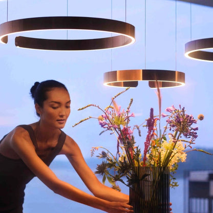 Suspension Aérienne