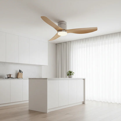 Ventilateur Plafond Ultra-plat 22cm LED 24W — Moteur Plat Silencieux — Argent & Bois Clair