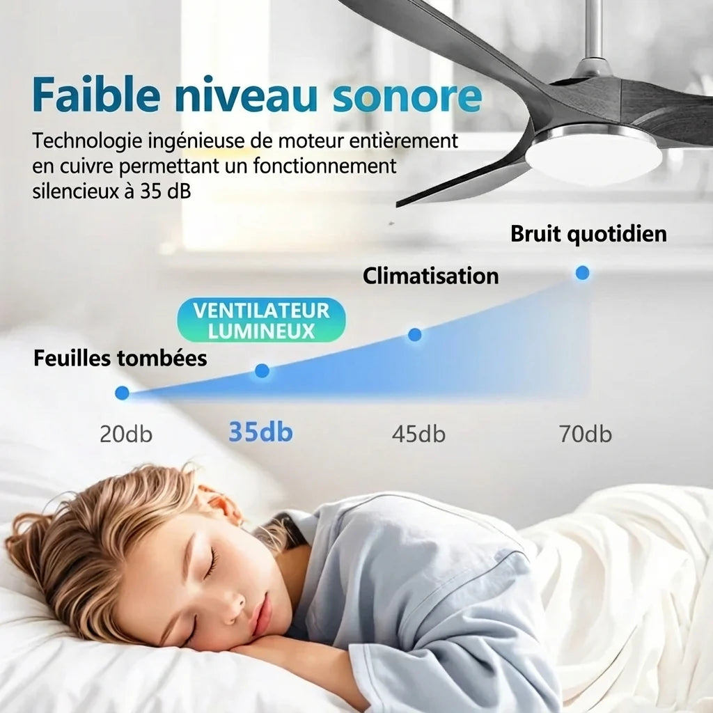 Ventilateur Plafond Vintage Industriel LED 24W — Moteur DC 35W — Total Noir Mat